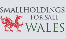 Rural Scene - National Specialist Estate Agency For Properties With Land