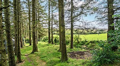 Llansannan DENBIGHSHIRE