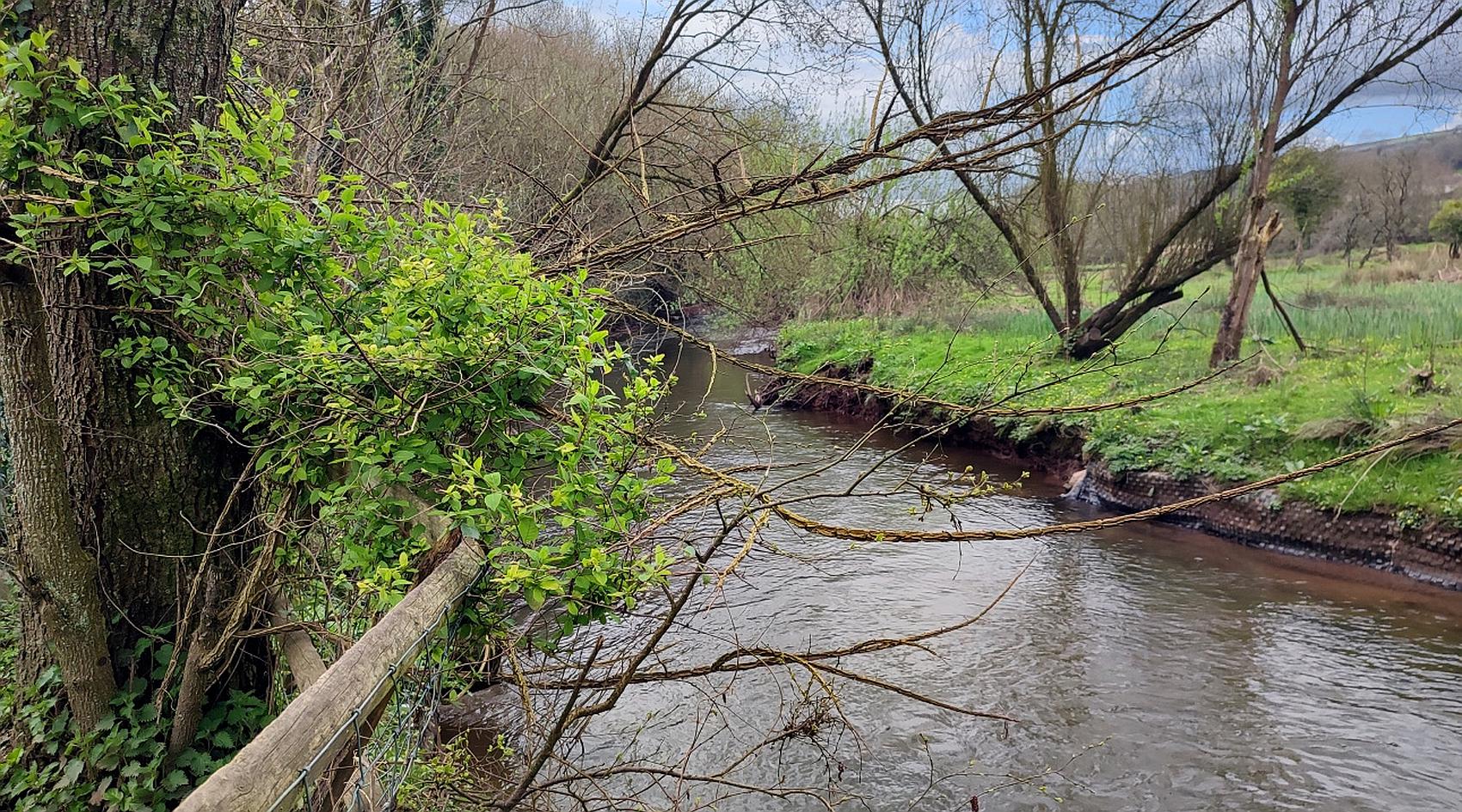 Kidwelly CARMARTHENSHIRE