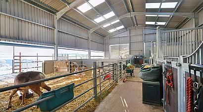 Llandyfaelog CARMARTHENSHIRE