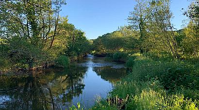 Llandyfaelog CARMARTHENSHIRE
