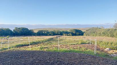 Upper Brynamman CARMARTHENSHIRE
