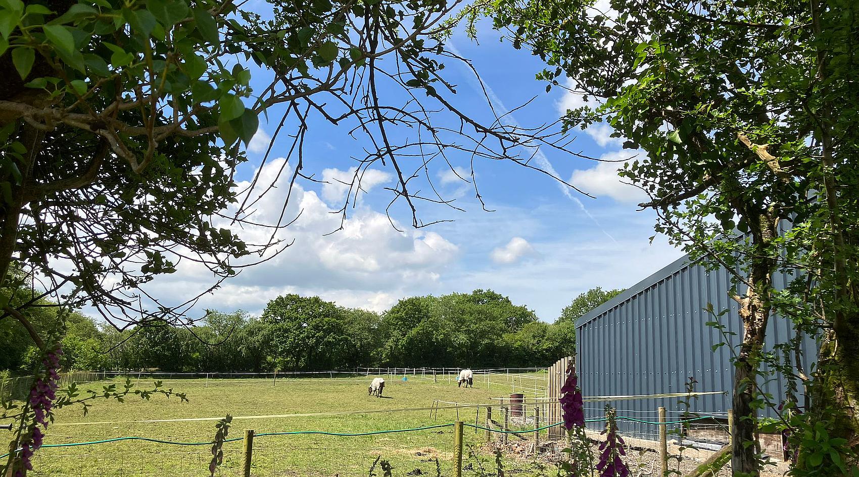 Penygroes CARMARTHENSHIRE