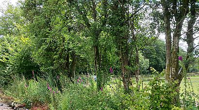 Penygroes CARMARTHENSHIRE