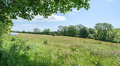 Tavernspite PEMBROKESHIRE