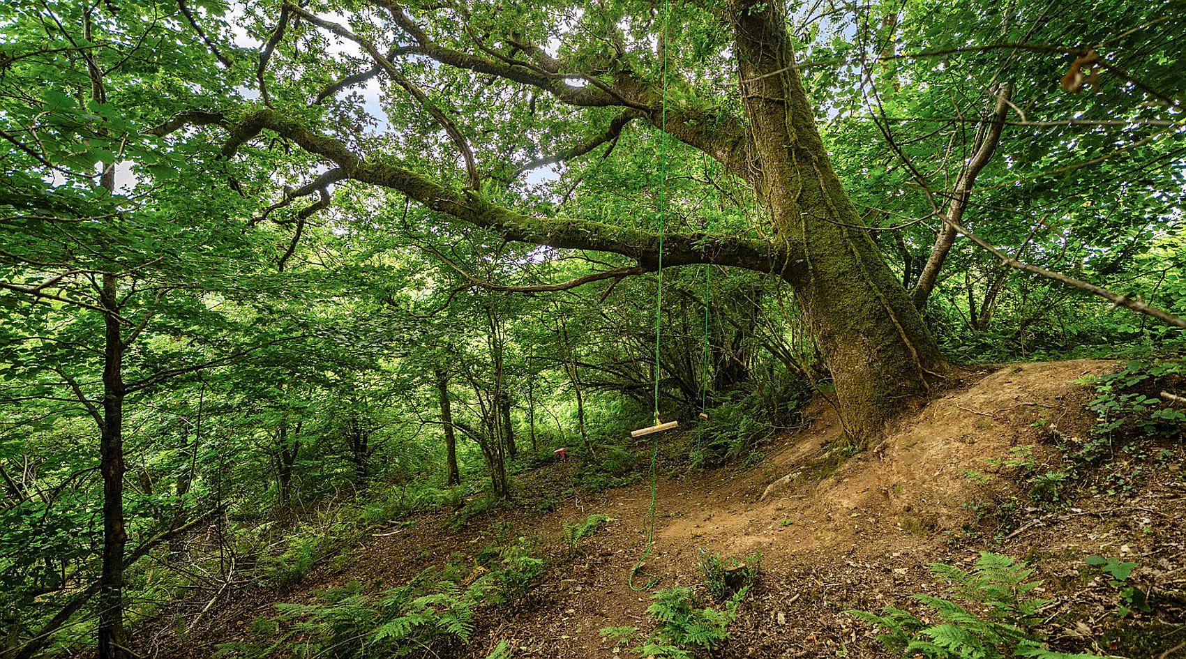 Talog CARMARTHENSHIRE