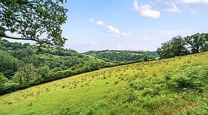 Talog CARMARTHENSHIRE