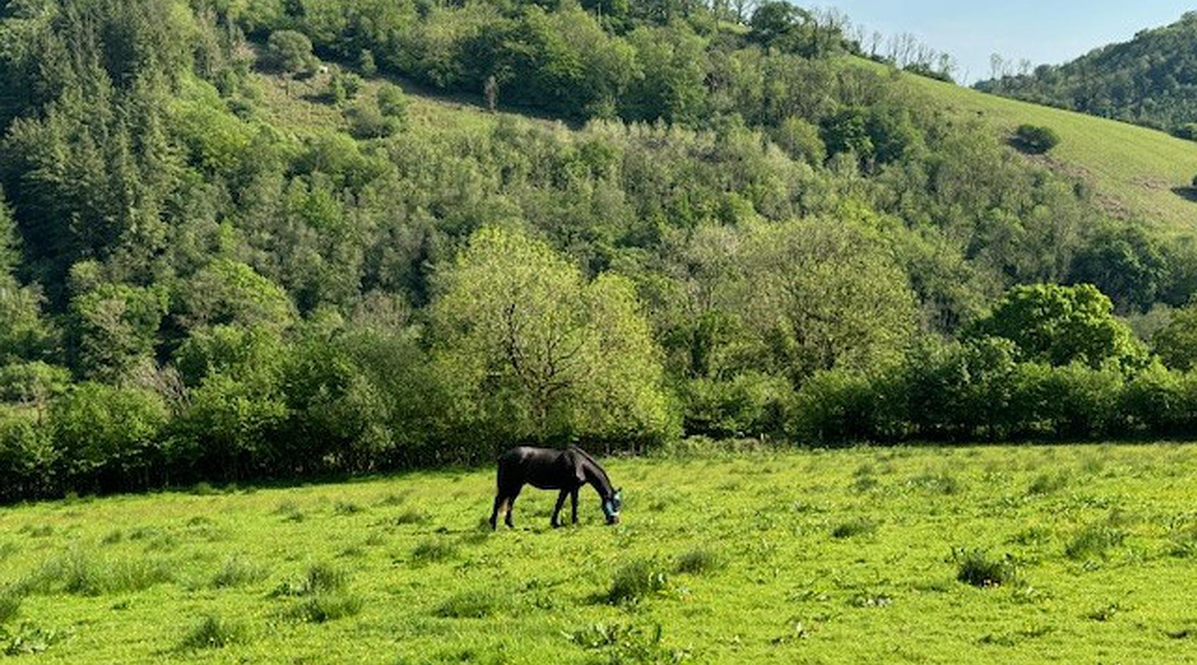 Talog CARMARTHENSHIRE