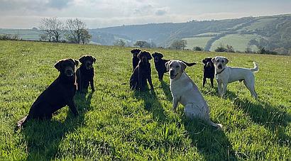 Talog CARMARTHENSHIRE