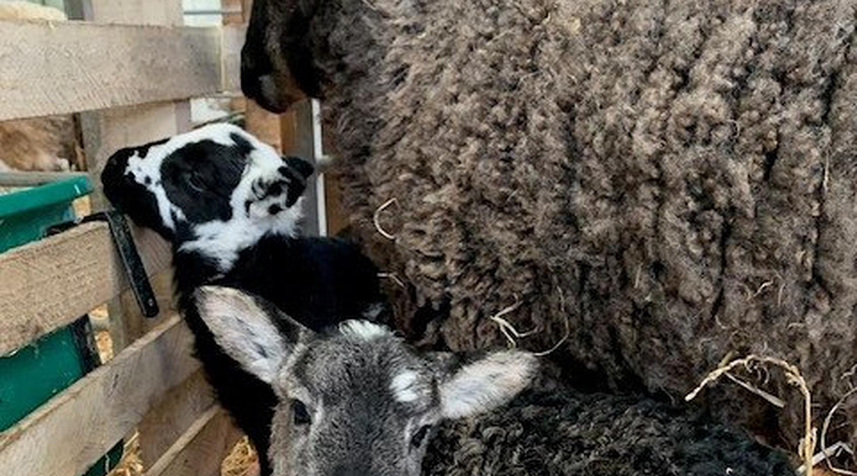 Talog CARMARTHENSHIRE