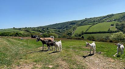 Talog CARMARTHENSHIRE