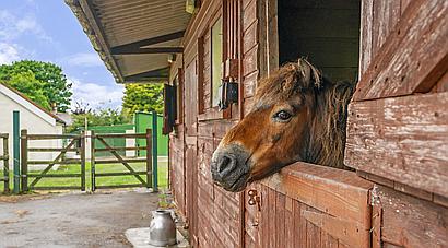 Cwmduad CARMARTHENSHIRE