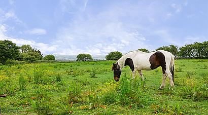 Cwmduad CARMARTHENSHIRE