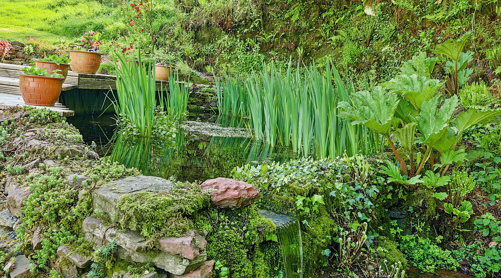 Laugharne CARMARTHENSHIRE
