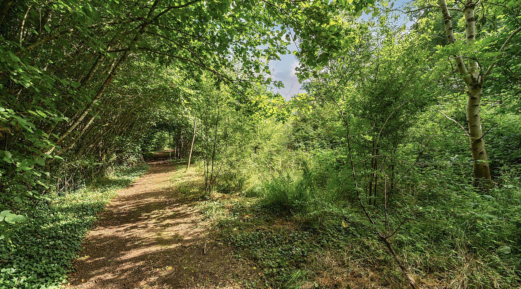 Llandeilo CARMARTHENSHIRE