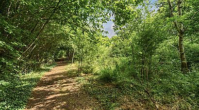 Llandeilo CARMARTHENSHIRE