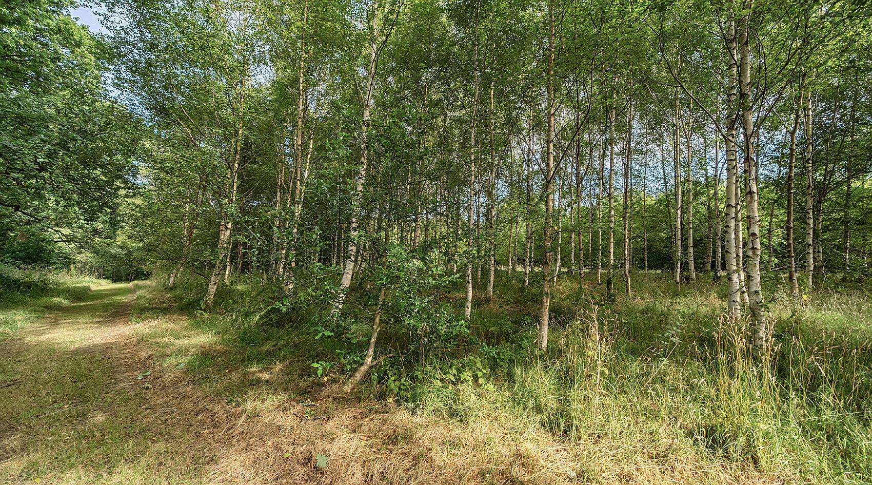 Llandeilo CARMARTHENSHIRE