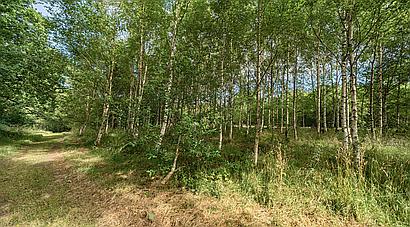 Llandeilo CARMARTHENSHIRE